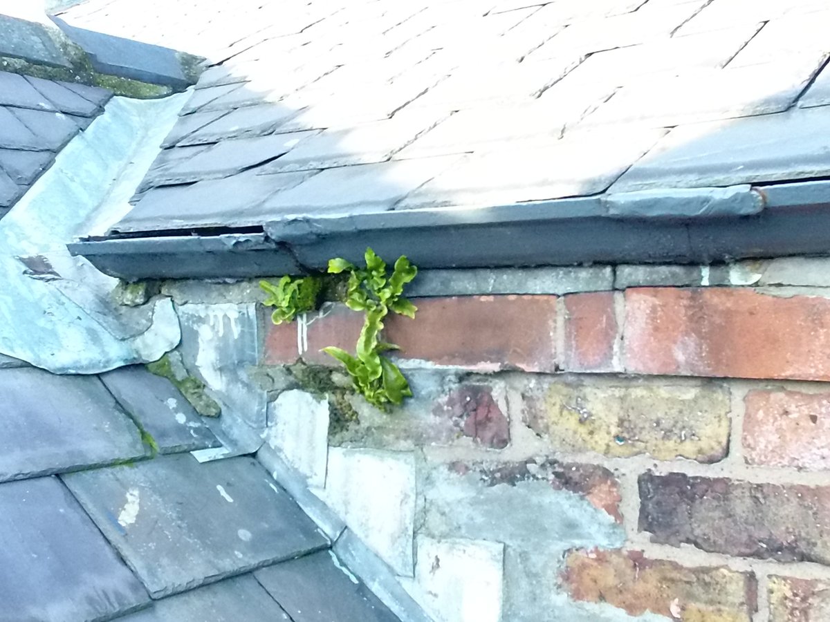 bulkgrainmover's tweet photo. Broken and leaking gutters, cracked stacks and chimneys ? An Aerial Roof Inspection by drone is the quickest and safest way check those difficult to access areas. Call 07836 255173 for more information. https://t.co/WtX9xTqjB8