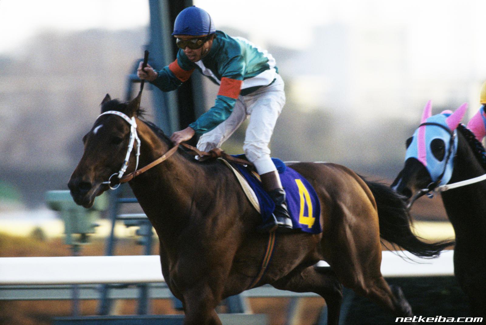 ひでまさねちか トウカイテイオー 無敗の3冠馬であり日本競馬史上唯一 皇帝 と呼ばれたシンボリルドルフの息子であり 自身も1991年の皐月賞 日本ダービーを無敗で制したレジェンドオブレジェンド 皇帝 の息子が 帝王 そして日本競馬随一の
