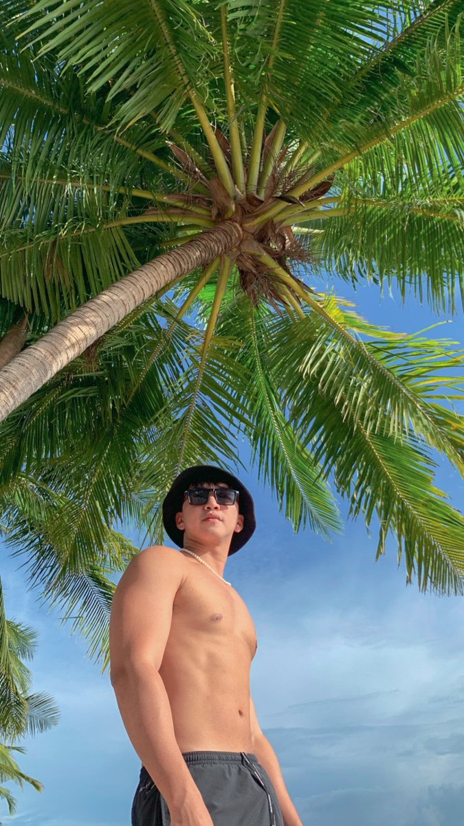 Johnmedina09's tweet photo. Sea breeze and the Palm trees https://t.co/HuTfoIaRsH