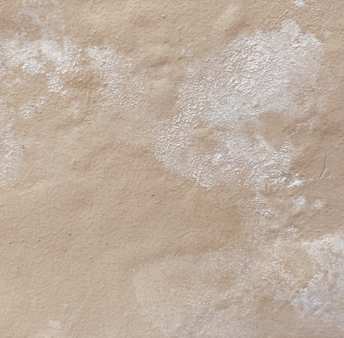 adi15tya's tweet photo. Untrodden

#beige #untrodden #photography #feature #capture #instadaily #instagood #nude #shades #vintage #beigeblonde #aesthetic #foryou #explore #exploremore #popular #nudepalette #colorpalette #style #styleblogger #blogger #desiinfluencer #indianblogger #indianinfluencer https://t.co/gcYJRXKSmD
