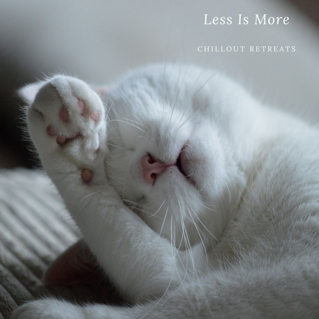 chilloutyoga's tweet photo. Our furry friends remind us that less is more. How about indulging in some chill time just for you this weekend? No time? Start with just 5 minutes per day, you will soon feel the benefits on your overall wellbeing. https://t.co/S2VreMcjfq