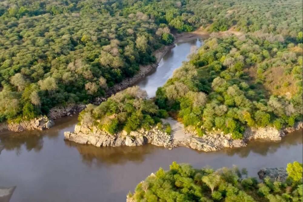 AArbegna's tweet photo. 📍Kafta Humera National park - North West Amhara.
This Park has 42 species of mammals with more than 400 cross-boarder #elephants . The park is home to #lions, #tigers, red #jackals, #antelopes, #gazelles, #Cheetah and is also the home for more than 163 bird species. https://t.co/5KWrGKOWfY