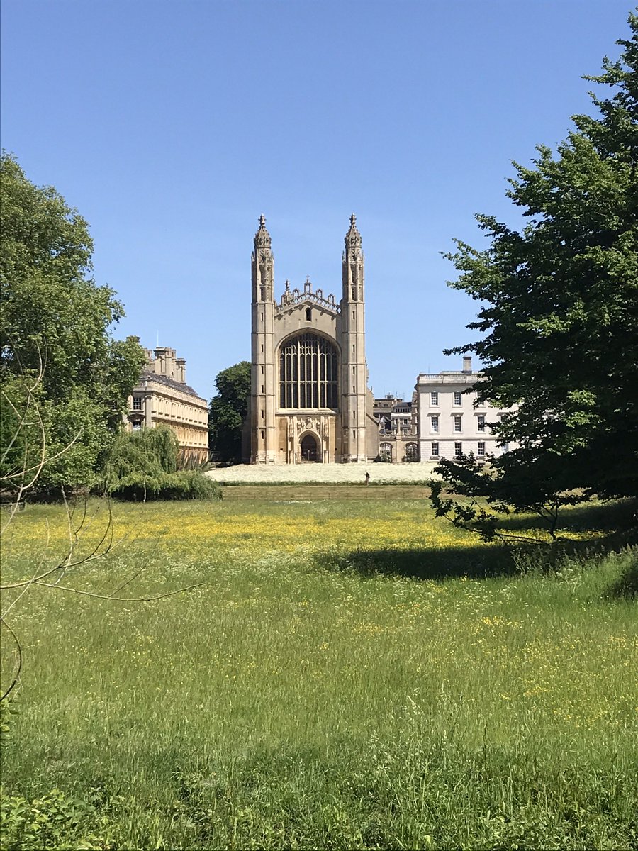 PaigeToonAuthor's tweet photo. Kings College Chapel from Queen’s Road: remember when Alice was coming out the other side of her heartbreak &amp; starting to feel better? This view would surely lift anyone’s spirits... Summer in Cambridge is pretty special. #OnePerfectSummer &amp; #TheMinuteISawYou will take you there! https://t.co/FpgBFuHVeI