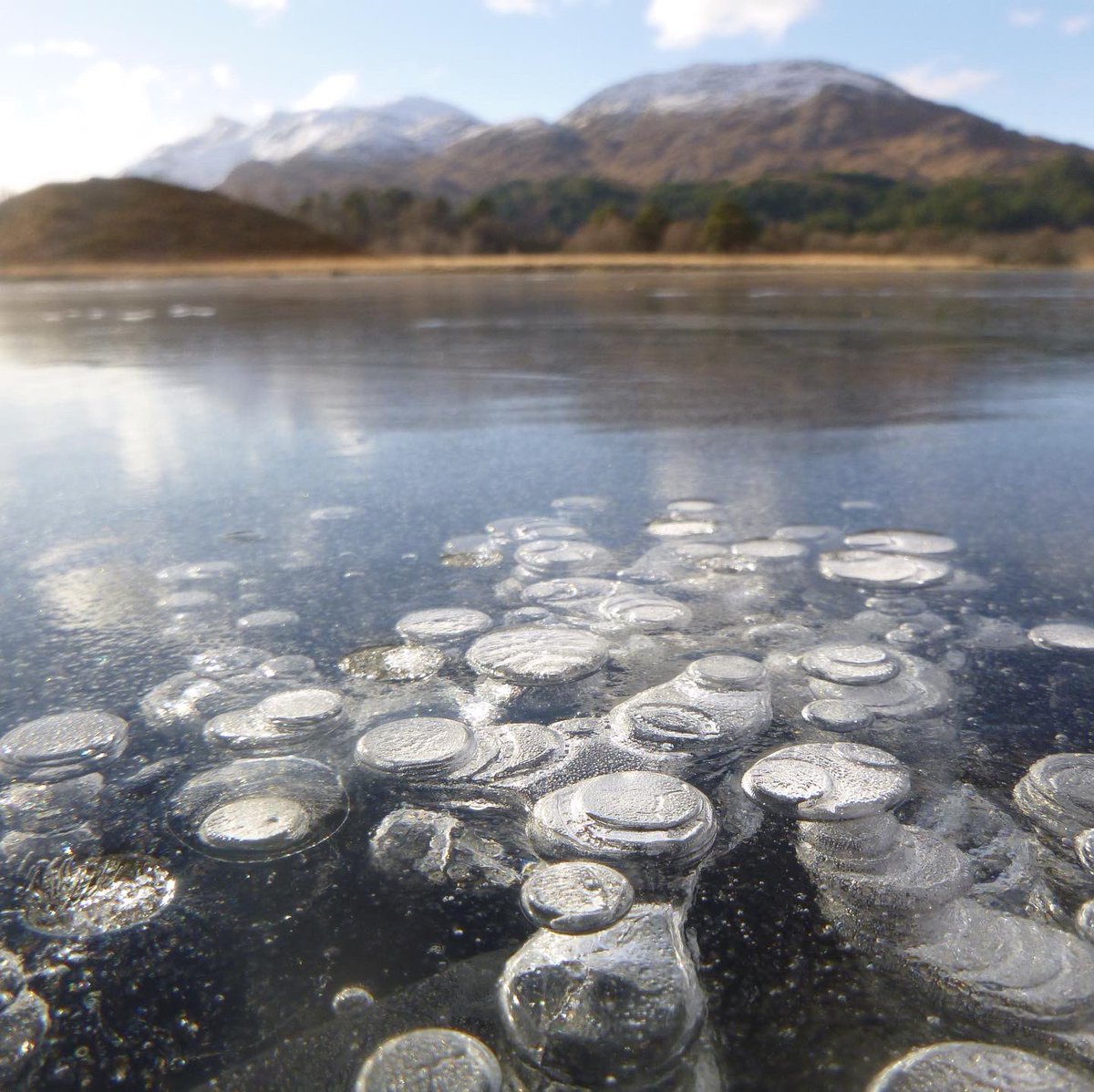 AlanHalewood's tweet image. On, in and under the ice last week.
Of course it’s all in the sea now. #iceisnice #frozenwater #idratherbeclimbing