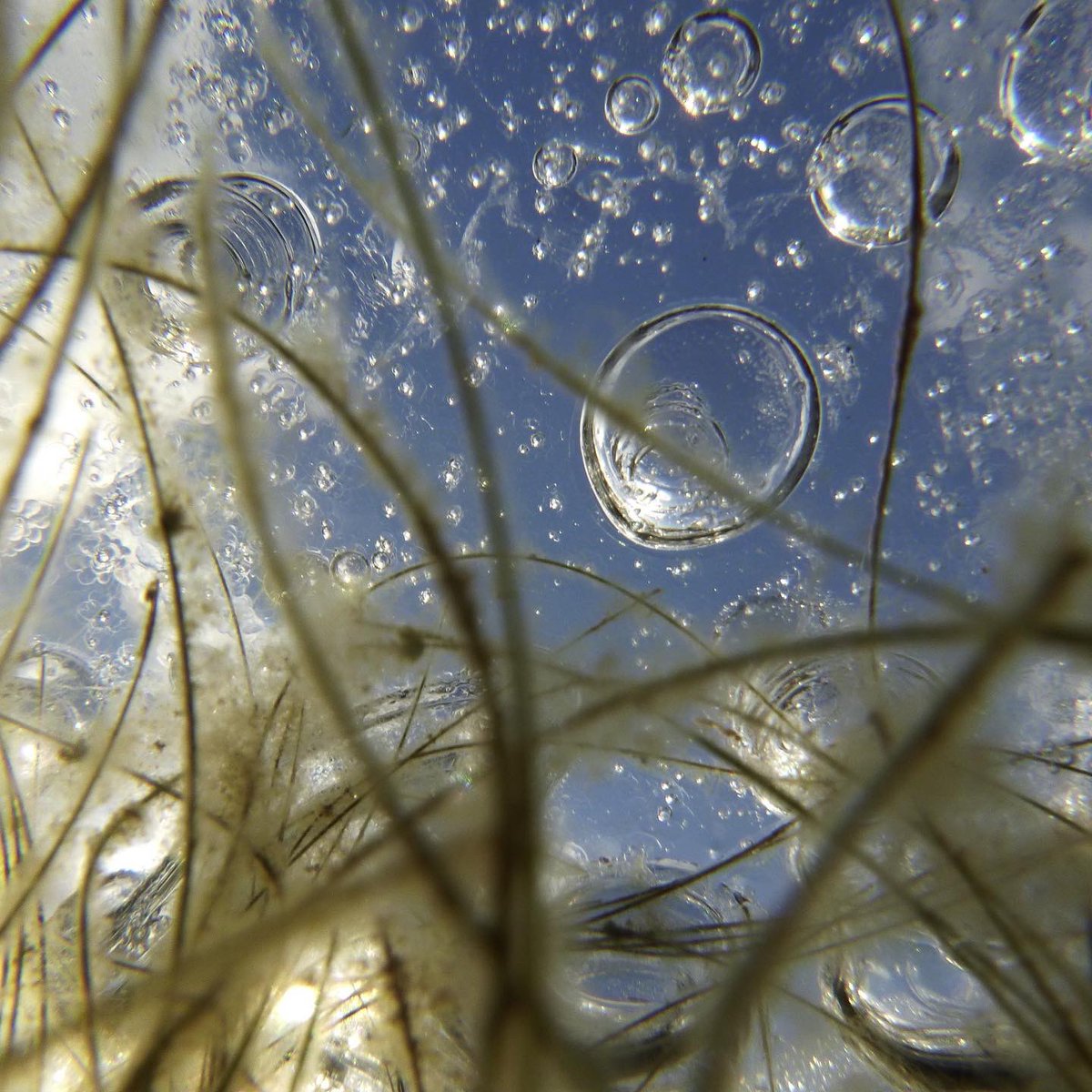 AlanHalewood's tweet image. On, in and under the ice last week.
Of course it’s all in the sea now. #iceisnice #frozenwater #idratherbeclimbing