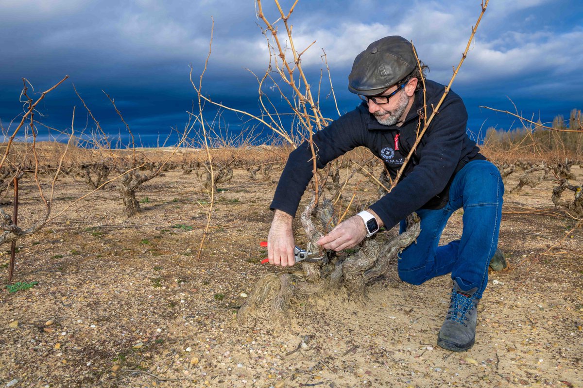Hispanobodegas's tweet photo. Planazo de viernes: terminar la poda definitiva en las viñas, hacer brasas con los sarmientos, asar unos choricitos y brindar con el vino de la finca podada #12Linajes @DORibera #FelizFinde https://t.co/tCqwwqV16C