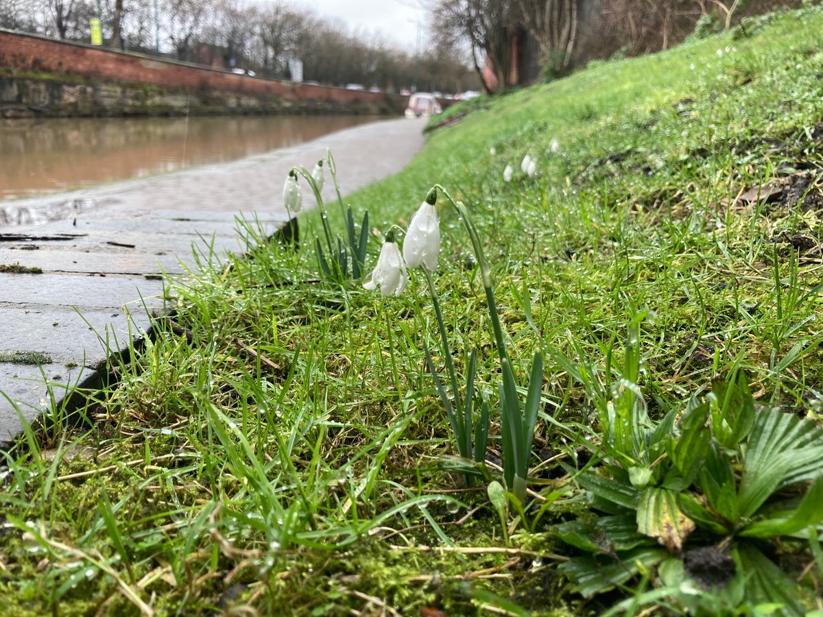 Canal & River Trust East Midlands tweet media