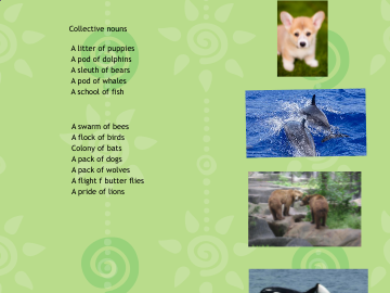 collective nouns
View or comment:- …-college-zejtun-primary-b.j2webby.com/?p=7392