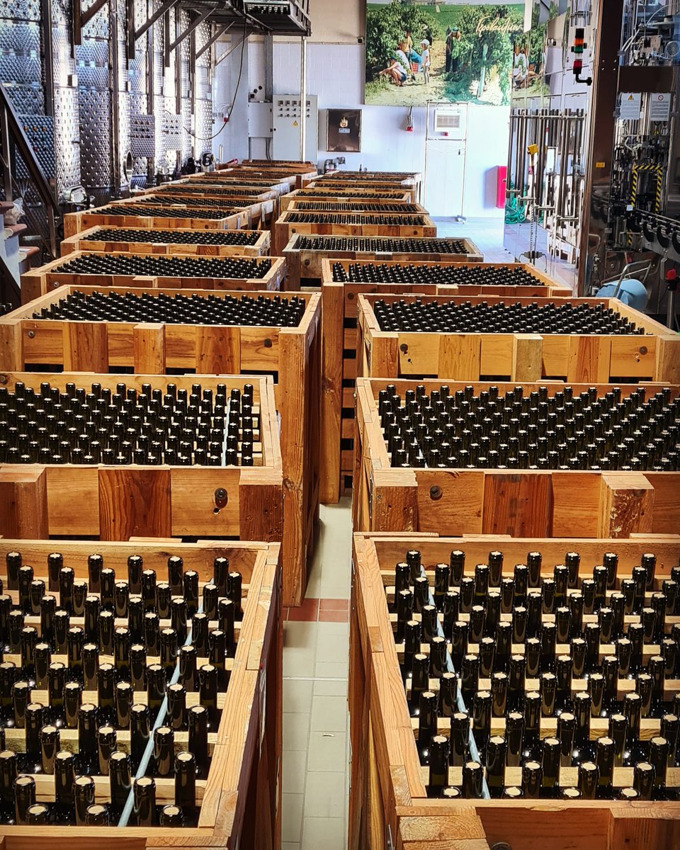 Μόλις εμφιαλώθηκαν!/Just bottled! #avaton #vintage2019 #bottling #bottlingday #justbottled #greekwine #greekvarieties #limnio #mavroudi #mavrotragano #ktimagerovassiliou #gerovassiliou #pgiepanomi