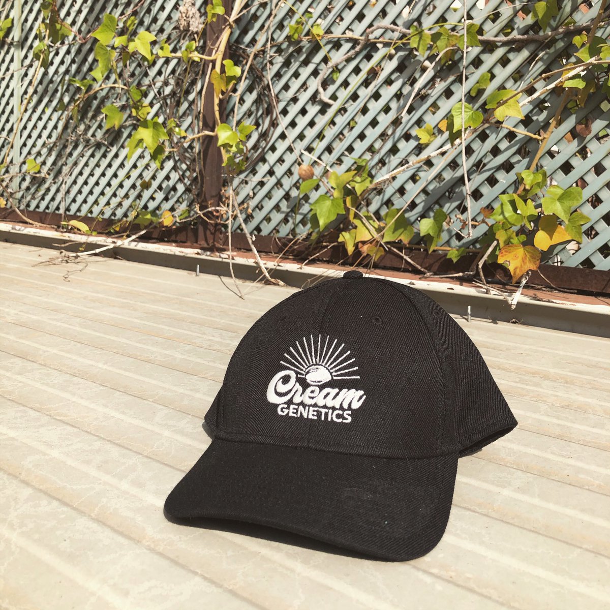 CreamGenetics's tweet photo. Cream swag is available! 🌱 https://t.co/HAwzjCADUn
