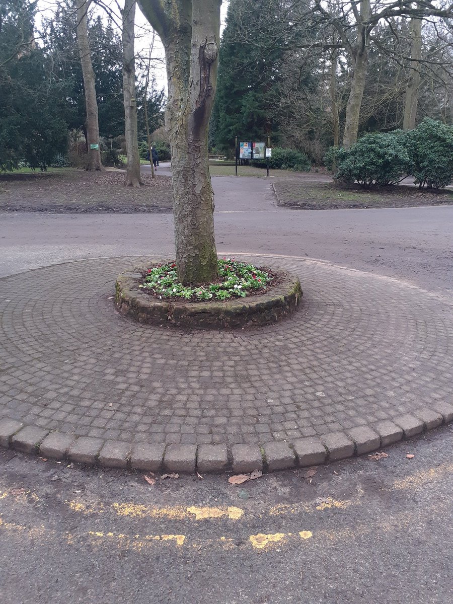 RyanCooper66's tweet photo. Woodthorpe Park winter work well underway now to be continued next week. Big thanks to @Pap66376473  and the city wide team for there support with these works. A few pictures of work carried out more in comments. @SherwoodBerrid1 https://t.co/9ElWU05SJQ