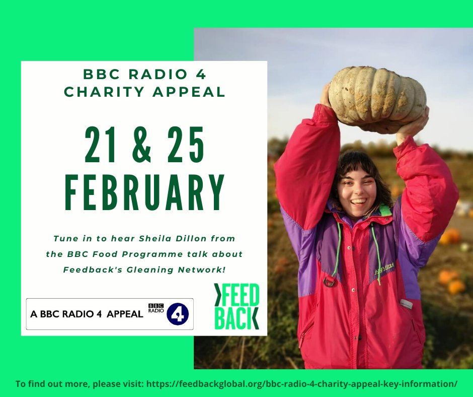 HughFW's tweet image. I had a brilliant day filming with the @feedbackorg’s Gleaning Network, saving tonnes of plums from being wasted, back in 2015 for #WarOnWaste. They do such a great job getting fantastic fruit and veg that would be wasted out to families who need it and really benefit from it.