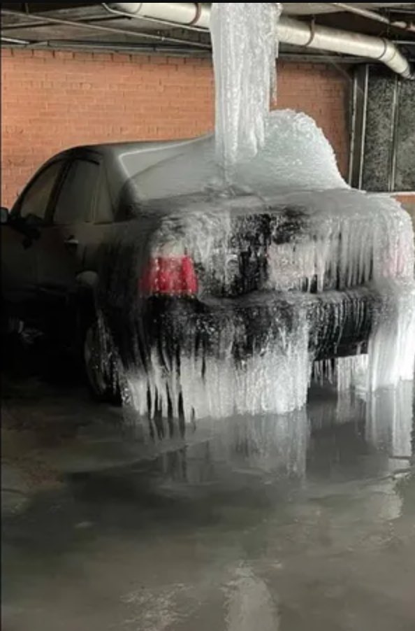 Bone00afide.bsky.social 🇮🇱 (@bone00afide) on Twitter photo 