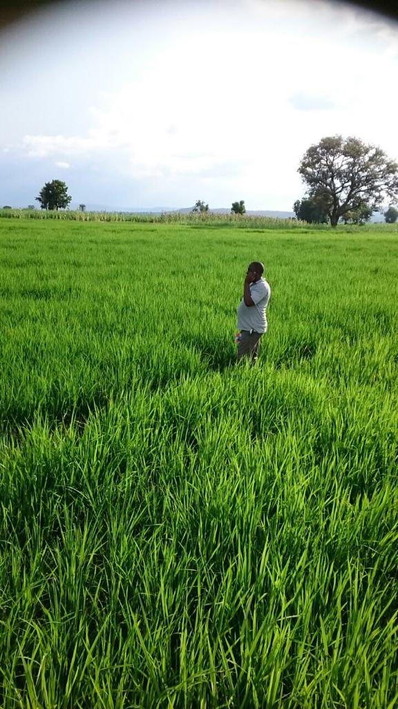 richardaumar's tweet photo. Organic agriculture a sustainable approach of consistent food production.
#PACJA1 #CSDevNet1 #ncsfpas
@atayibabs @samsoft2010 @CSDevNet1_Steve @iberthasewe @BEgbuchulam @Cocomademoiseil
@seunny2020 @ClimateActionN @dheenylkhair @Rajmann11 @shagalinkutv https://t.co/bg9v5k9g4w