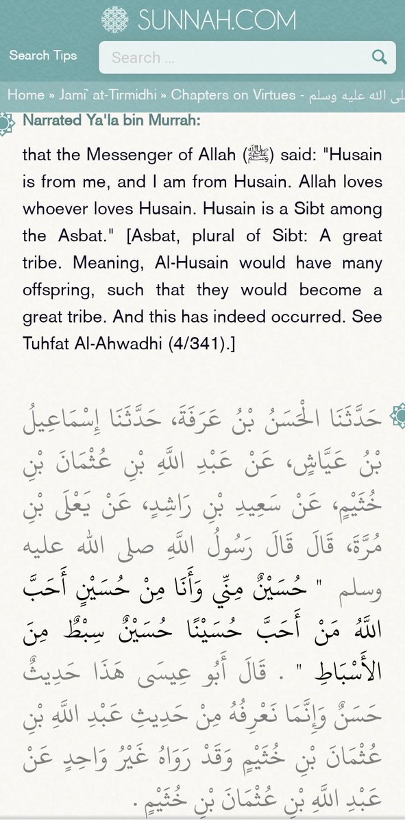 Reason Muhammad ﷺ had said:'Husain is from me & I am from Husain. Allah loves whoever loves Husain.' You will get the same character & determination from Husain (as) which you get from Muhammad (saw) 