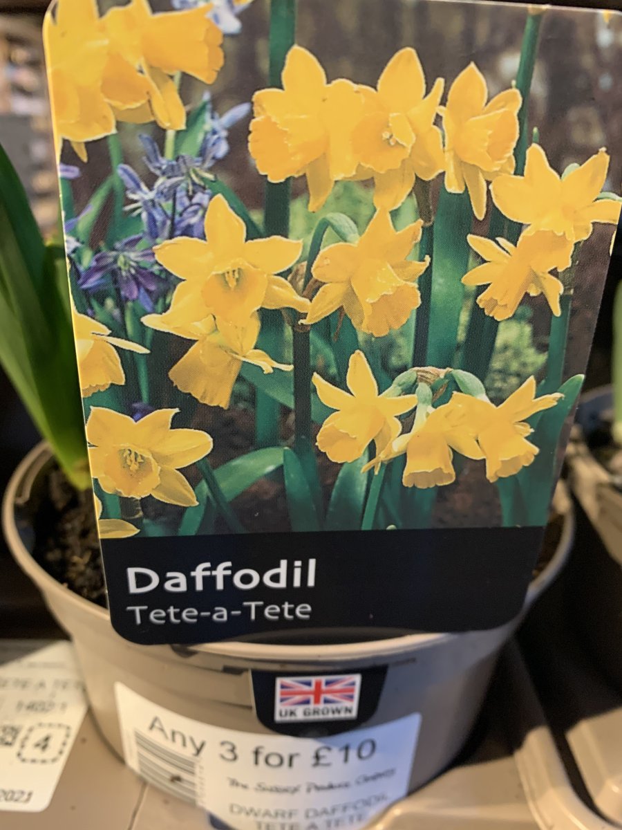 Sussex Produce Co. (@sussexproduce) on Twitter photo 