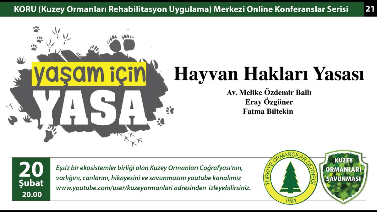 kuzeyormanlari's tweet photo. 📢#KORU'da bu Cumartesi:

“Hayvan Hakları Yasası”

#YaşamİçinYasa inisiyatifinden sevgili omuzdaşlarımızla yapacağımız söyleşiyi 20 Şubat Cumartesi 20.00'da https://t.co/7Qt0iFB3Es adresinden canlı izleyebilirsiniz. https://t.co/U10OF55ZrC