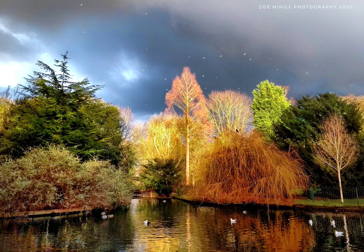 Zobohook's tweet photo. @StormHour My entry to @RMetS #StormHour #POTW competition: #carshalton https://t.co/arJ3oNWBem