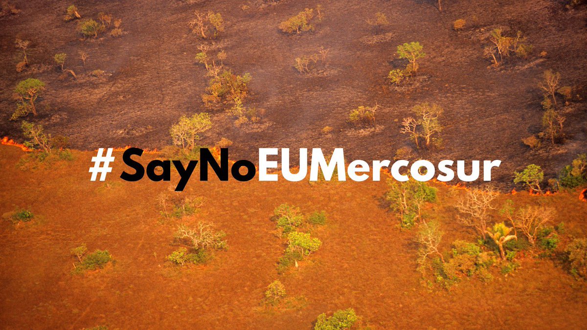 attac_italia's tweet photo. The #Amazon gets destroyed #SayNoEUMercosur We demand EU leaders to vote against as @GreensEFA @GUENGL! 

@VDombrovskis @vonderleyen @berndlange @jordi_canyas @PaoloGentiloni @luigidimaio https://t.co/9aAnmPL4y7