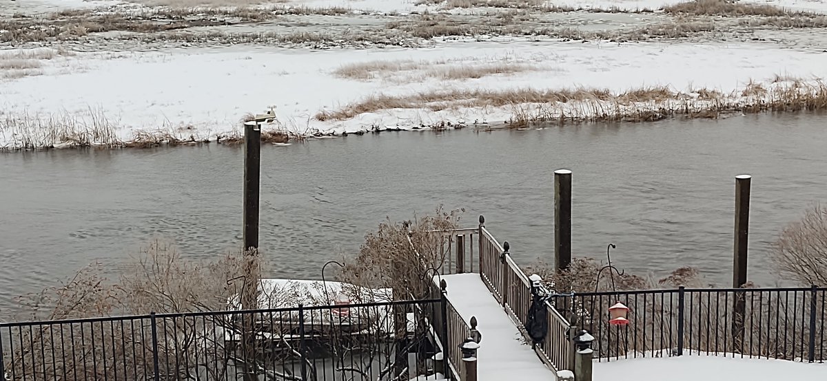 doke01's tweet photo. @AcuRite
  #AcuRiteFanPhotoFriday Winter is here! https://t.co/5UYU07ISgB