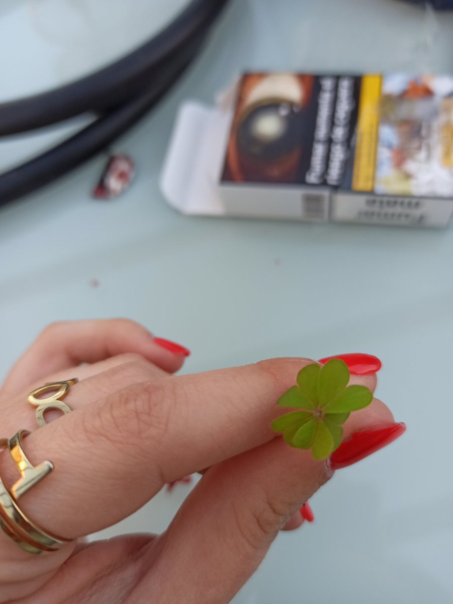 Nicomontes12's tweet photo. RT para 5 años de buena suerte con el trébol de 5 hojas🍀 https://t.co/3NXOkVjYfO