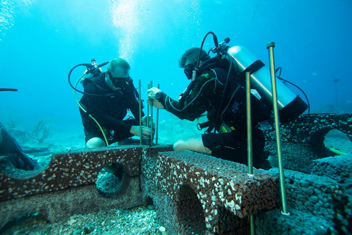 ReefLife911's tweet photo. We use #IntelliReefs for reef recovery. IntelliReefs made a #Oceanite biomimicking substrate to attract coral & CCA through chemical, mineral, & microtexture cues. IntelliReefs is now engineering for bleaching & OA mitigation.
Why Oceanite is not concrete https://t.co/rlJvJ1Cq6x https://t.co/ir25xt2gqr