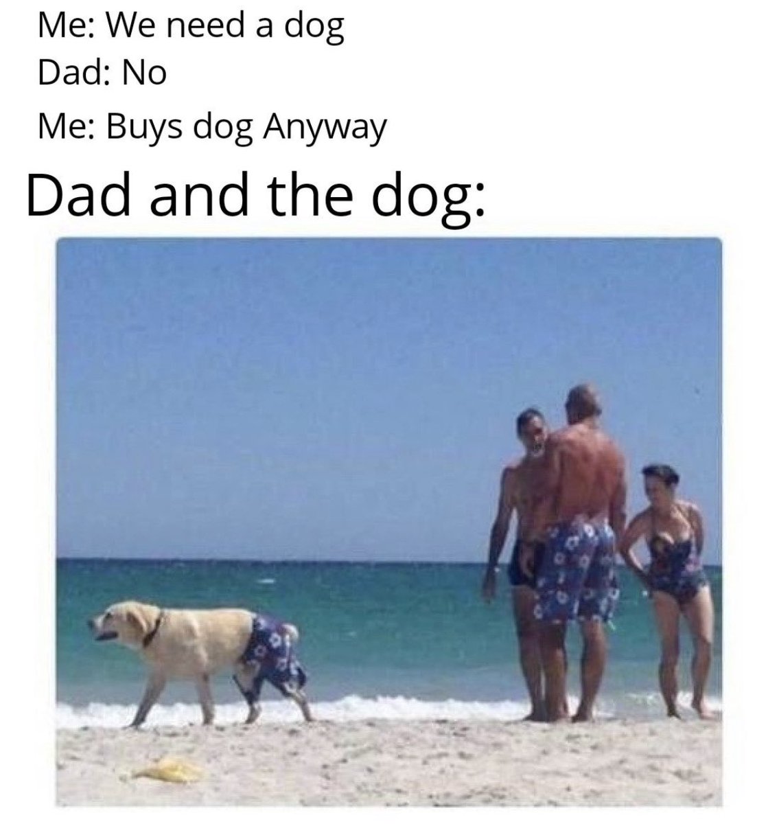 RespectfulMemes's tweet photo. https://t.co/AVkWQWTON5