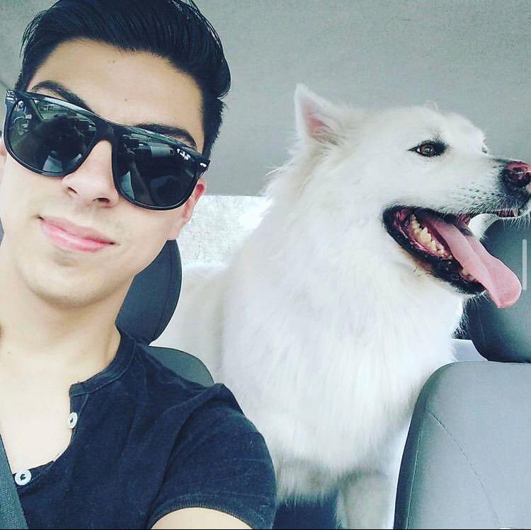 Pet day Friday with Bono! 😎🐶 #Proud2bYoung