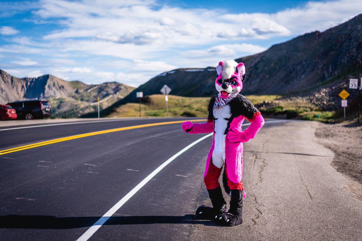 Gonna hitch a ride, 
Head for the other side

Leave it all behind, 
Never change my mind~ ❤️🎶

#FursuitFriday #LovelandPass
📸: @lansiar