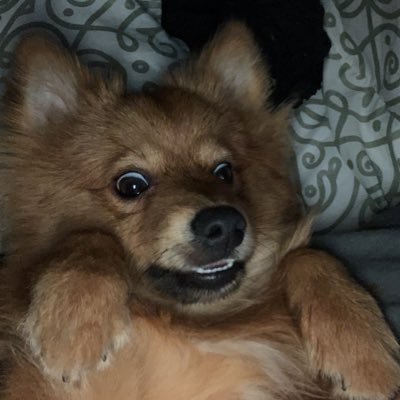 Shocked #NuevaFotoDePerfil https://t.co/N2Wr2ulg8A<a href="/tag/nuevafotodeperfil"class="tags">#NuevaFotoDePerfil</a>