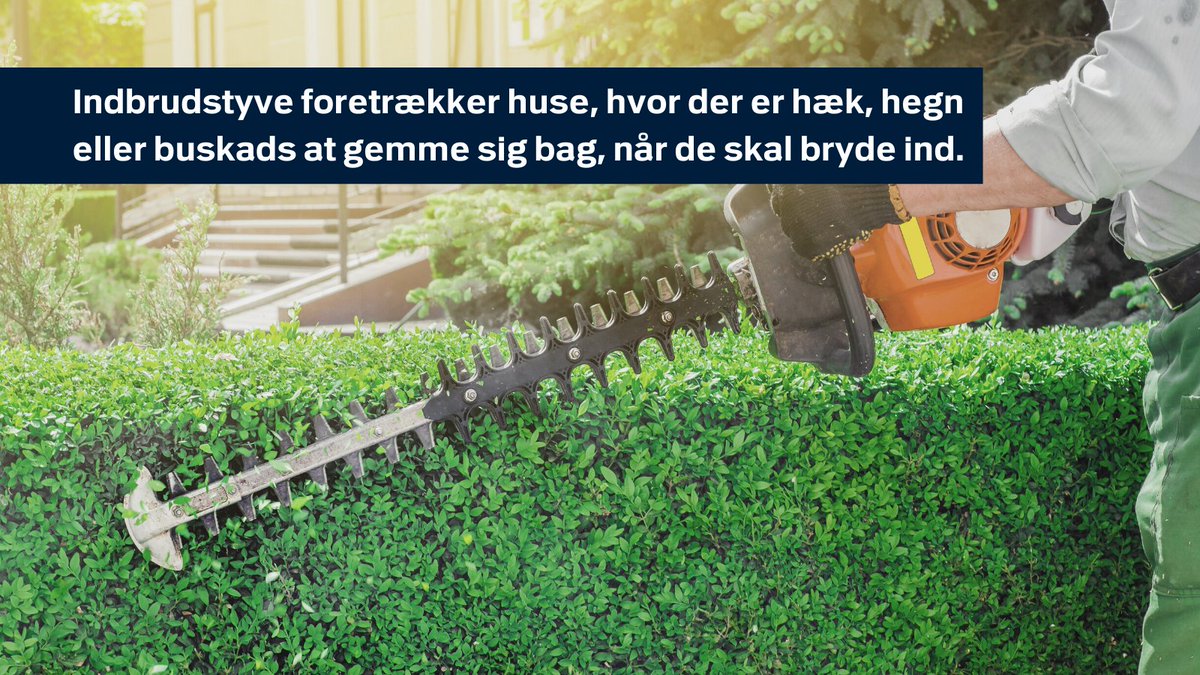 Indbrudstyve foretrækker huse, hvor der er hæk, hegn eller buskads at gemme sig bag, når de skal bryde ind. Det kan derfor virke forebyggende, at hæk og hegn mellem forhave og vej holdes lavt. https://t.co/Mn8VgwCqSg