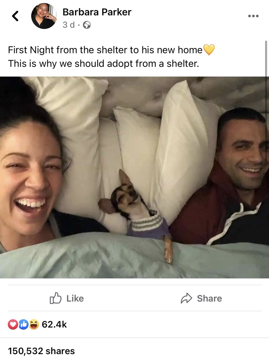 I’ve just seen this on Facebook &amp; it’s quite honestly made my day