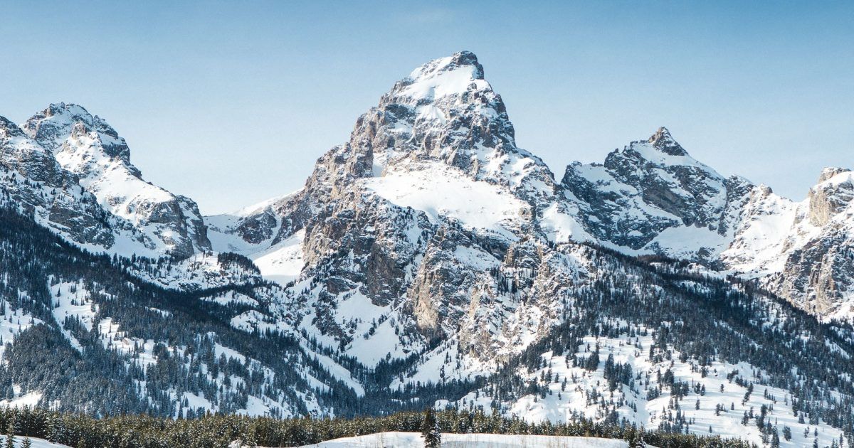 USARediscover's tweet photo. Connect with nature and find adventure in Jackson Hole this winter. Experts at @JHChamber shared the best ways to get up close to the area's wildlife, cool spots for snow sports, and where to grab a drink after the day is done. https://t.co/Ch6IaHy1ch #Travel #RediscoverAmerica https://t.co/9KlNIaf8GJ