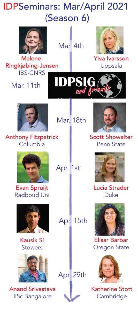 We are happy to reveal our schedule for March/April featuring @MaleneRJensen, @Ivarssonlab, @FitzpatrickLab, @SAShowalterLab, @SpruijtLab, @LabStrader, Kausik Si, @ElisarBarbarLab, @mbuanand and Kathrine Stott. Please help spread the word! Register at: idpseminars.com.