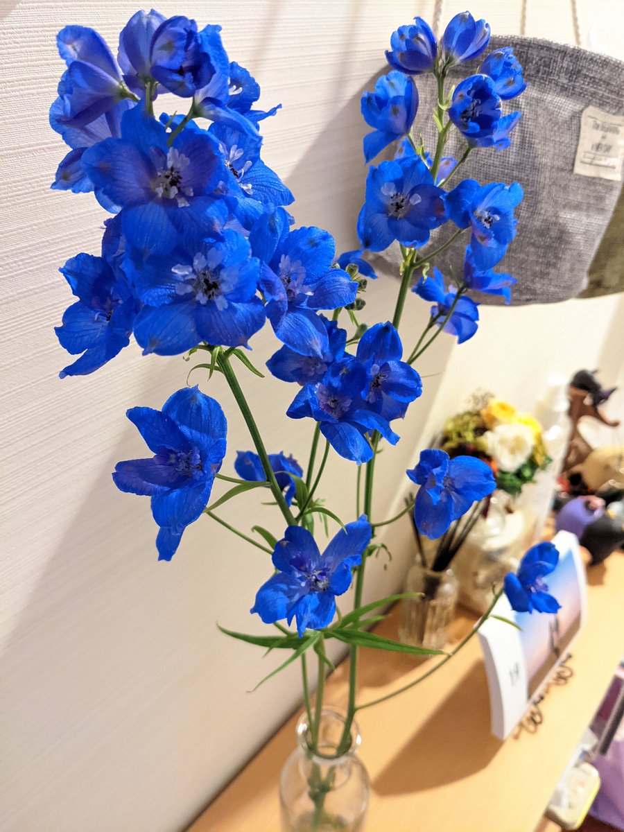 なつほ 今月のお花 デルフィニウム 花言葉は 清明 高貴 ひとつの茎にたくさんの花 をつけることから あなたは幸福をふりまく という意味もある なつほ 今月のお花 デルフィニウム 花言葉は 清明 高貴 ひとつの茎にたくさんの花 をつけることから あなたは幸福をふりまく という意味もある