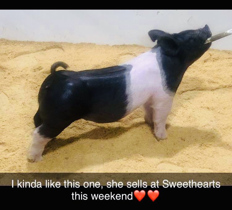 Check her out this weekend in Lebanon IN at Sweethearts! You don’t wanna miss this one 💜