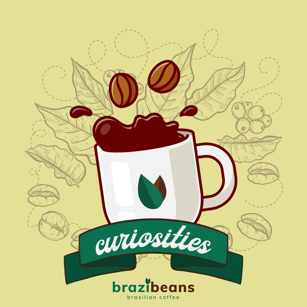 brazibeans's tweet photo. We believe that good coffee goes beyond just planting, roasting, and brewing; it's a way of life. So it's important to us to be sure that our coffee had a good journey, from the seed to your cup! ♥☕ Follow the thread to know more... https://t.co/xjRFE0KCtQ