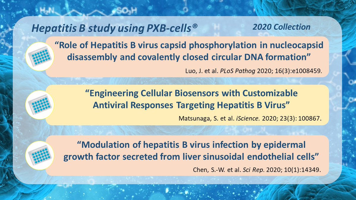 Part II – PXB-cells in 2020 papers. Hepatitis B: Luo, J. et al. PLoS Pathog. 2020; 16(3): e1008459, Matsunaga, S. et al. iScience. 2020; 23(3): 100867, Chen, S.-W. et al. Sci Rep. 2020; 10(1):14349. 
More details: phoenixbio.co.jp/en/news/human-…

#drugdiscovery #drugdevelopment #HBV