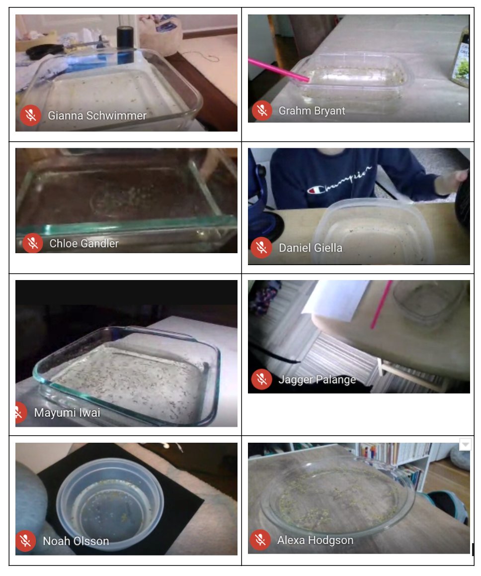 Tracey Ann Ferguson tweet media