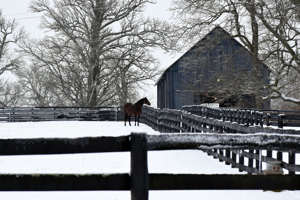 AirdrieStud's tweet photo. #DIVISIDERO
✅Multiple G1 winner
✅Earned over $1.6 million
✅13 triple-digit Beyers
✅26 single-digit Ragozins in 29 starts 🚀
✅A GSW each racing year
✅From the female family of #NorthernDancer
✅First foals arriving now!
☎️call 859-873-7270 for incentives
#ThinkAboutIt https://t.co/G1ocyXwZ40