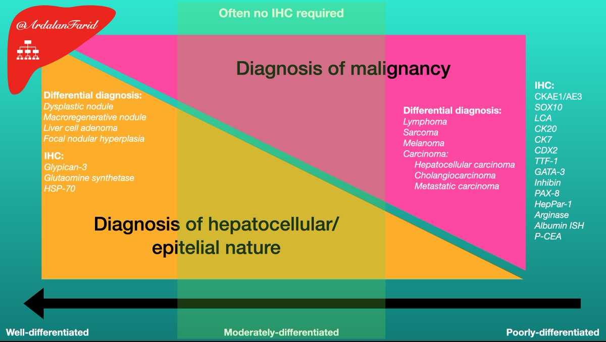 ArdalanFarid's tweet photo. An algorithmic approach to liver mass. All comments and suggestions are welcome.
#PathTwitter 
#Liverpath
#GIpath
#TUMSpath https://t.co/D5fAeoXO6s