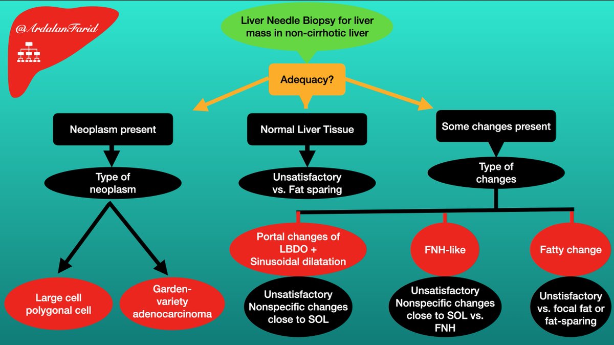ArdalanFarid's tweet photo. An algorithmic approach to liver mass. All comments and suggestions are welcome.
#PathTwitter 
#Liverpath
#GIpath
#TUMSpath https://t.co/D5fAeoXO6s