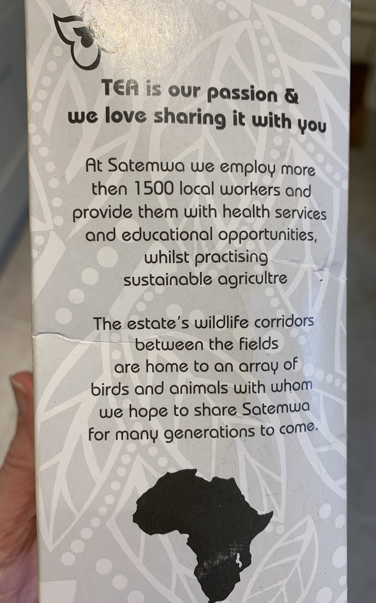 Rachel Bell tweet media