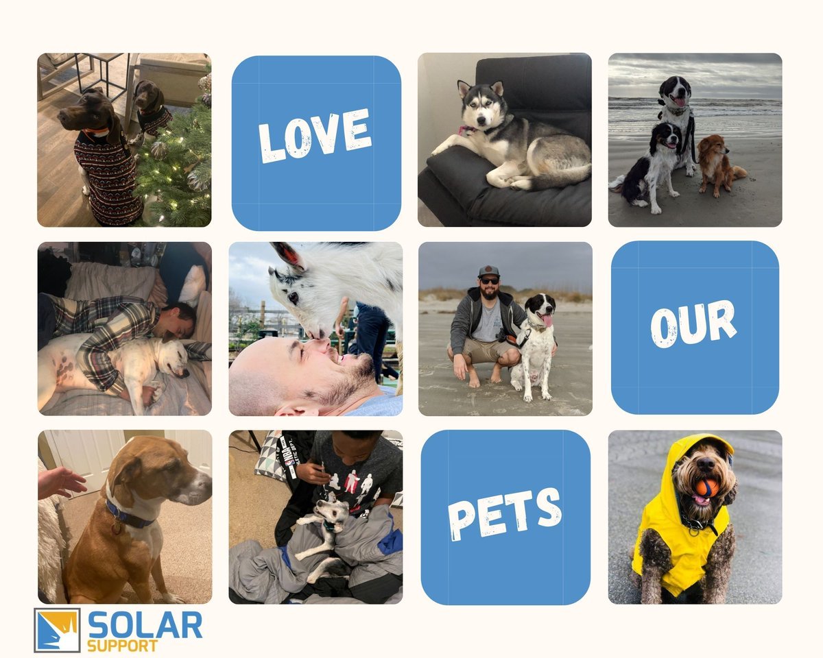 SolarSupportMe's tweet photo. Aside from producing #solar solutions for clients, another passion that many team members share is #DOGS – that’s right, we’re pet people! Join us in celebrating #LoveYourPetDay on Saturday, February 20 and comment if you're a pet lover, too 🐕 https://t.co/1lmAFwlS5L