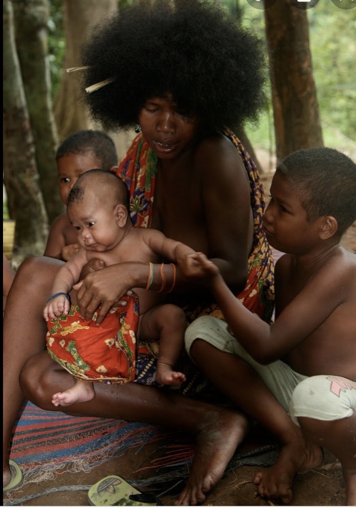 If you still believe that let’s look at the Negritos of Asia. These are the Batek who are of African and Native (mongoloid) ancestry. Who live and are NATIVE TO Malaysia would you fix your mouth to tell them to return to Africa ? No right? so don’t do it with “African Americans”