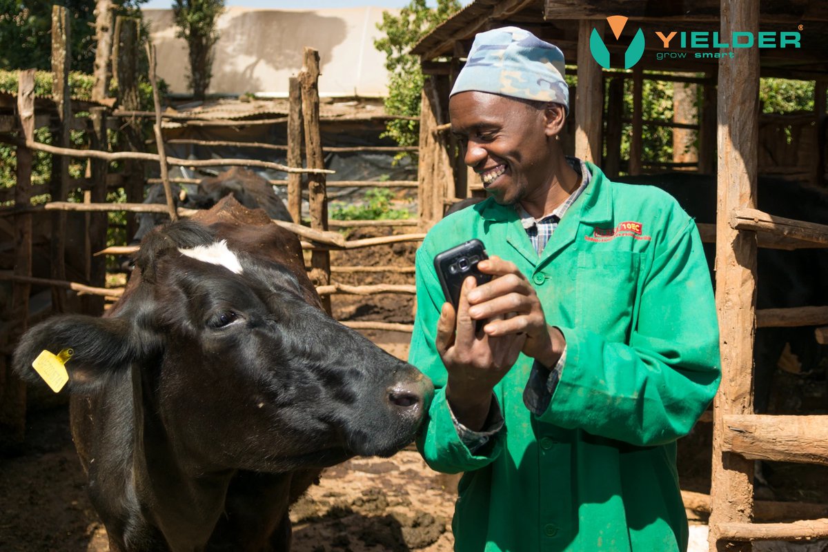 YielderKE's tweet photo. With just an internet connection and smartphones, farmers receive information and knowledge that empowers them. It is nice to have Yielder app!
#ICT4Ag #D4Ag #HappyYielder @YIct4ag https://t.co/7hnndzXPWm