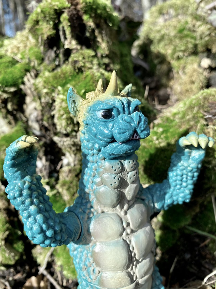 Shin_Gojira_66's tweet photo. Godzilla! Miniya! Gabara! I was on monster island 😭
Y•MSF! Bandai! I’m in sofubi heaven 😭

#YMSF #Bandai #Godzilla #Miniya #Gabara #ゴジラミニラガバラ https://t.co/JEU7ennIdg