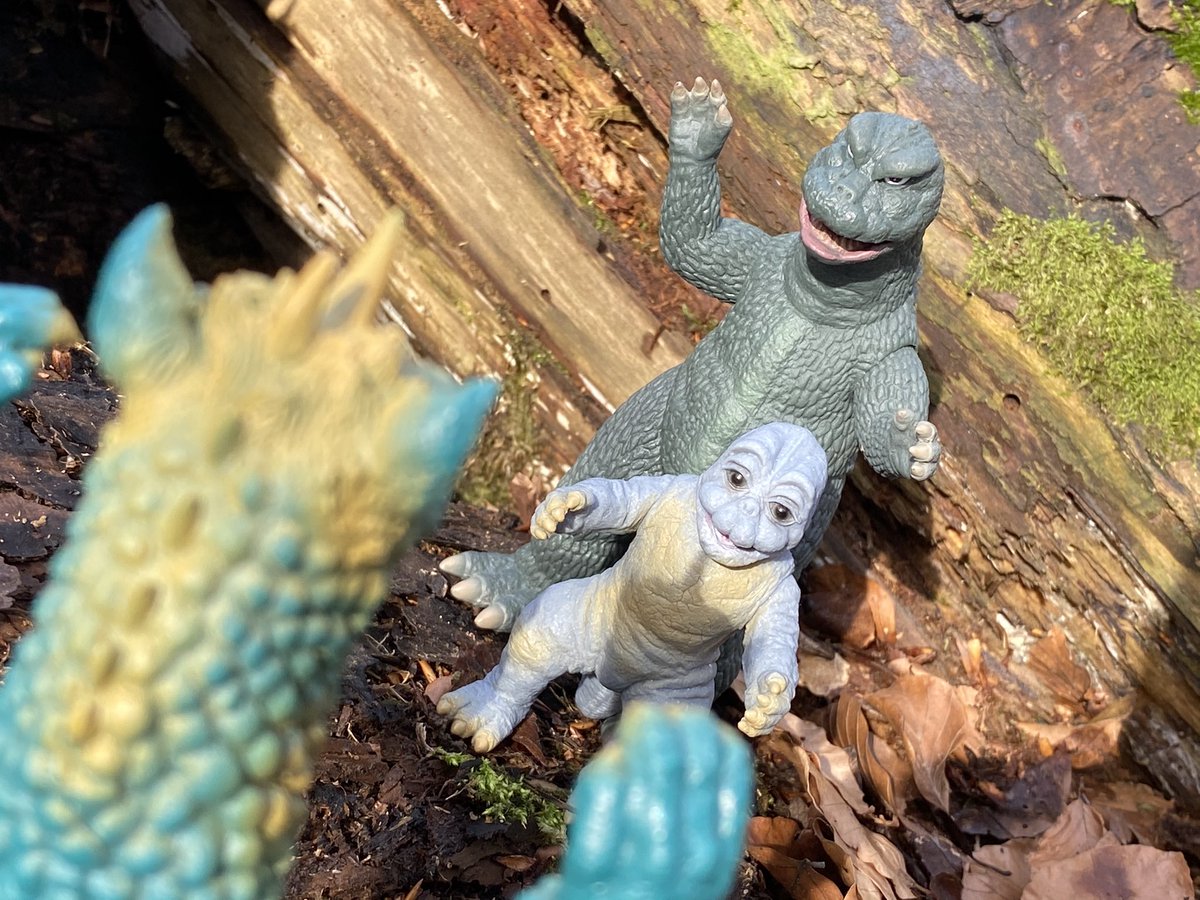 Shin_Gojira_66's tweet photo. Godzilla! Miniya! Gabara! I was on monster island 😭
Y•MSF! Bandai! I’m in sofubi heaven 😭

#YMSF #Bandai #Godzilla #Miniya #Gabara #ゴジラミニラガバラ https://t.co/JEU7ennIdg