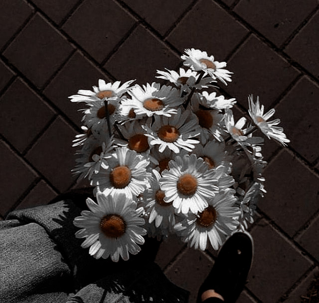 ⠀⠀⠀ ⠀୧ 𝐏edido: Combo Café da manhã (Bolo de Chocolate)

⠀⠀⠀ ⠀ও 𝐃e: ✨
⠀⠀⠀ ⠀ও 𝐏ɑrɑ: @whoxbryce 

⠀⠀⠀ ⠀، 📝 𓂃 Eu te amo mais do que tudo nesse universo inteirinho, bom dia meu amor 🥺