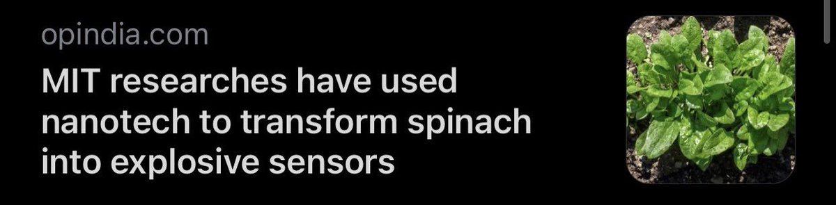 Yommi⁷🤴🏾 tweet media